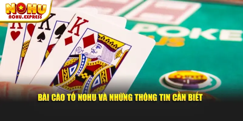 Bài Cào Tố Nohu Và Những Thông Tin Cần Biết