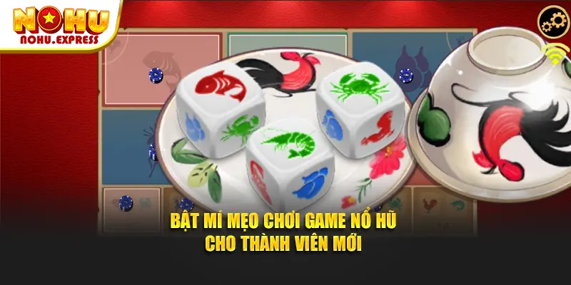 Bật mí mẹo đặt cược hiệu quả cho thành viên mới