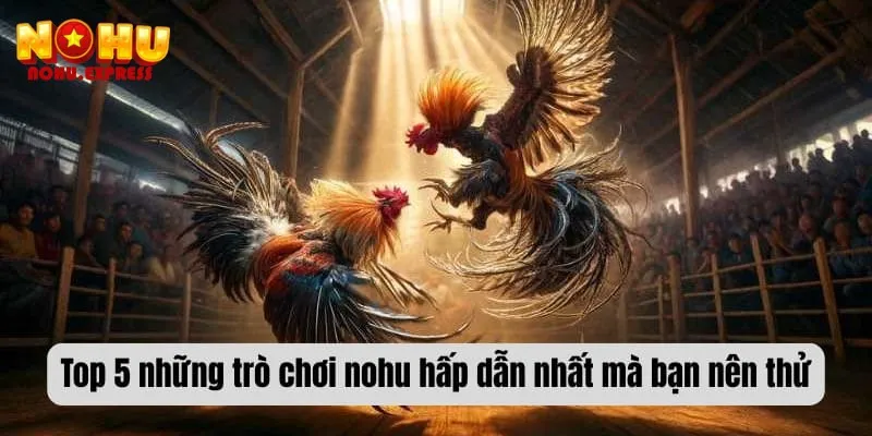 Top 5 những trò chơi nohu hấp dẫn nhất mà bạn nên thử